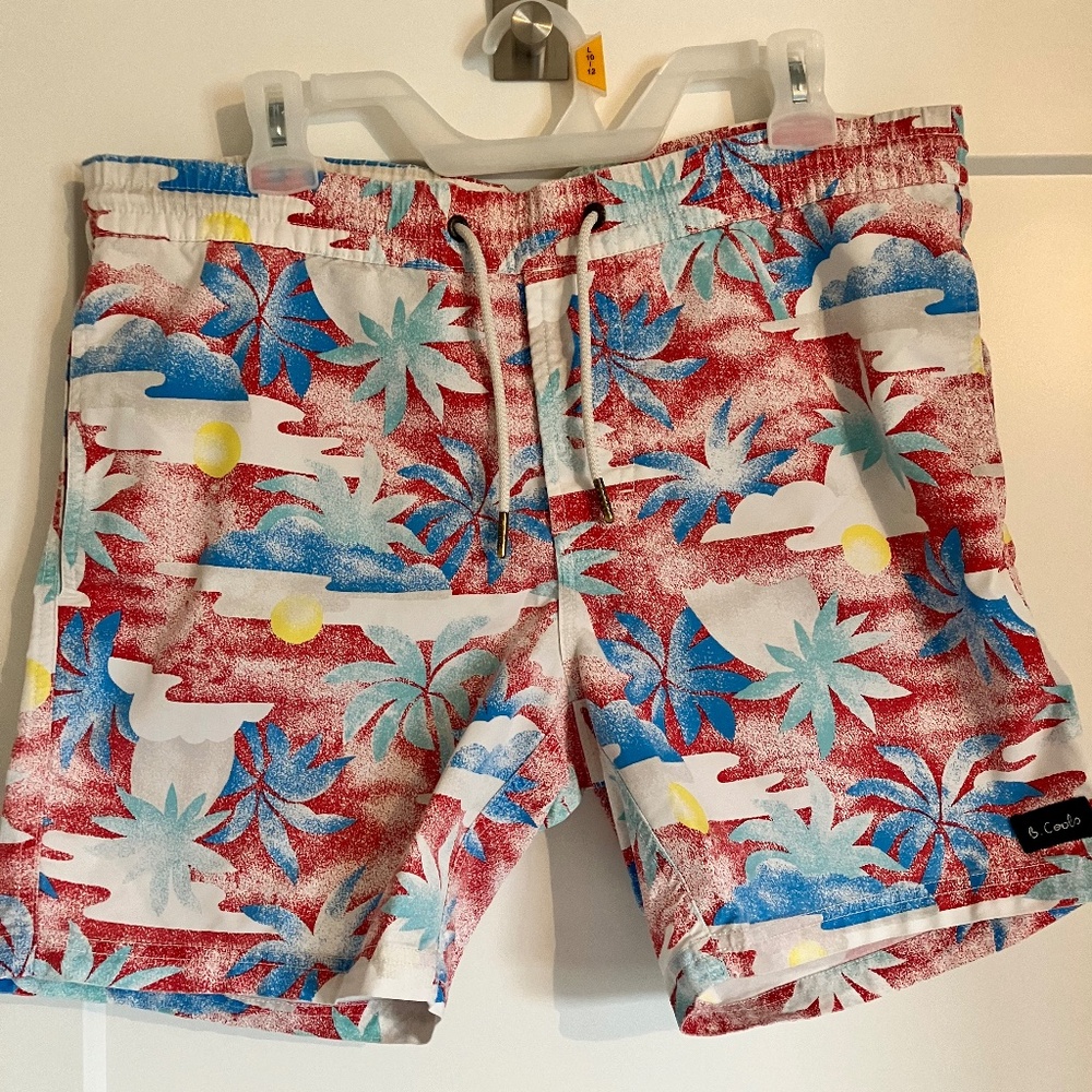 Barney Cools Amphibious Swim Shorts